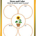 Plant Life Cycle Worksheets Free Printables for Kids – Adanna Dill