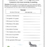 Possessive Noun Worksheets Possessive Noun Worksheets: Printable Exercises With Answers