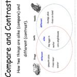 Printable Compare And Contrast Worksheets | Peggy Worksheets
