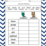 Antonyms & Synonyms Worksheets – Made By Teachers