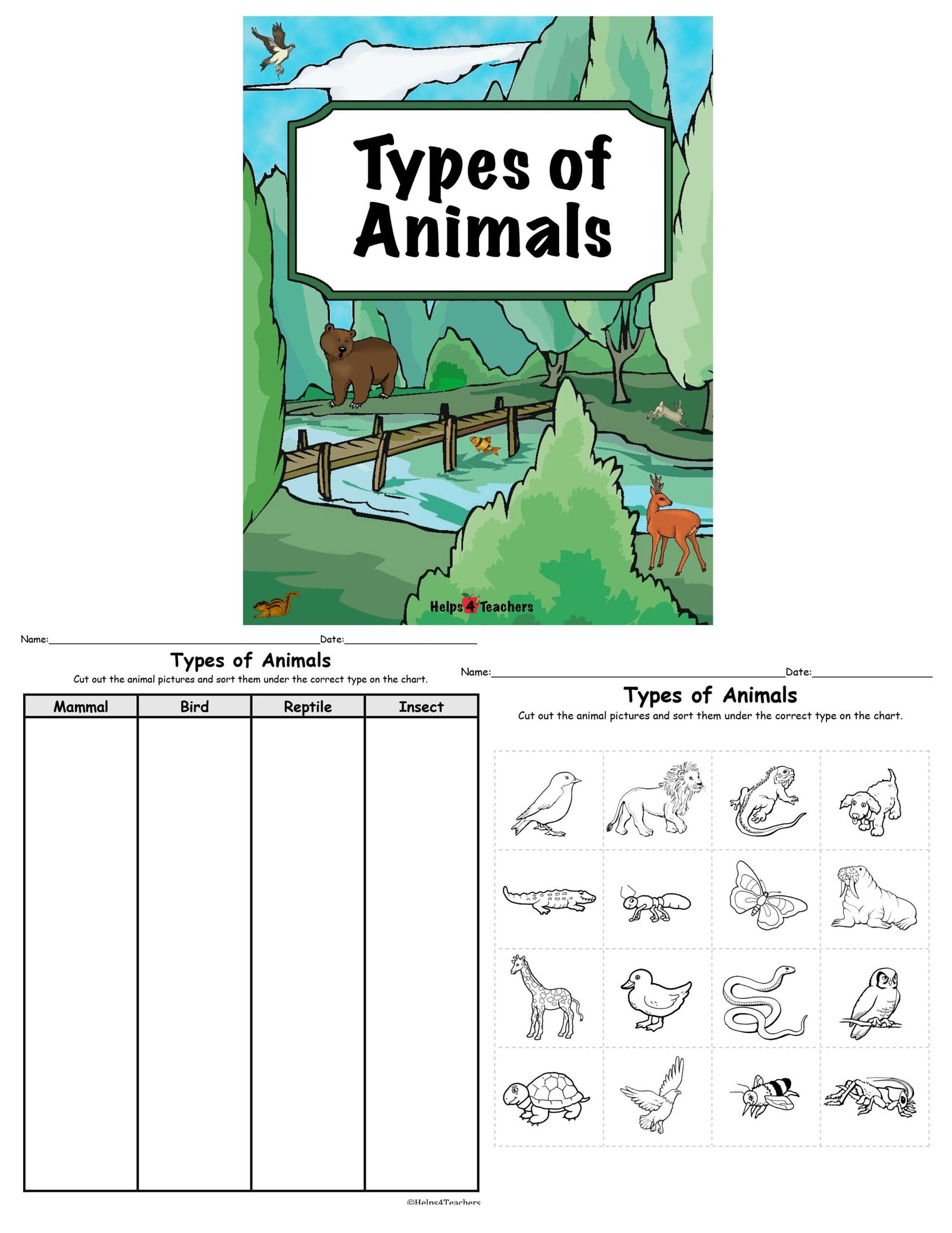 Mammal Worksheet First Grade Mammal Worksheet First Grade