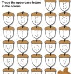 Autumn Themed Handwriting Worksheets FREE Printable Fall Themed Uppercase and Lowercase Alphabet Letter …