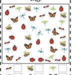 Bug Find And Count Worksheet