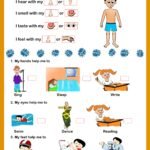 Body parts evs worksheets for class 1 ncert cbse class 1 – Artofit
