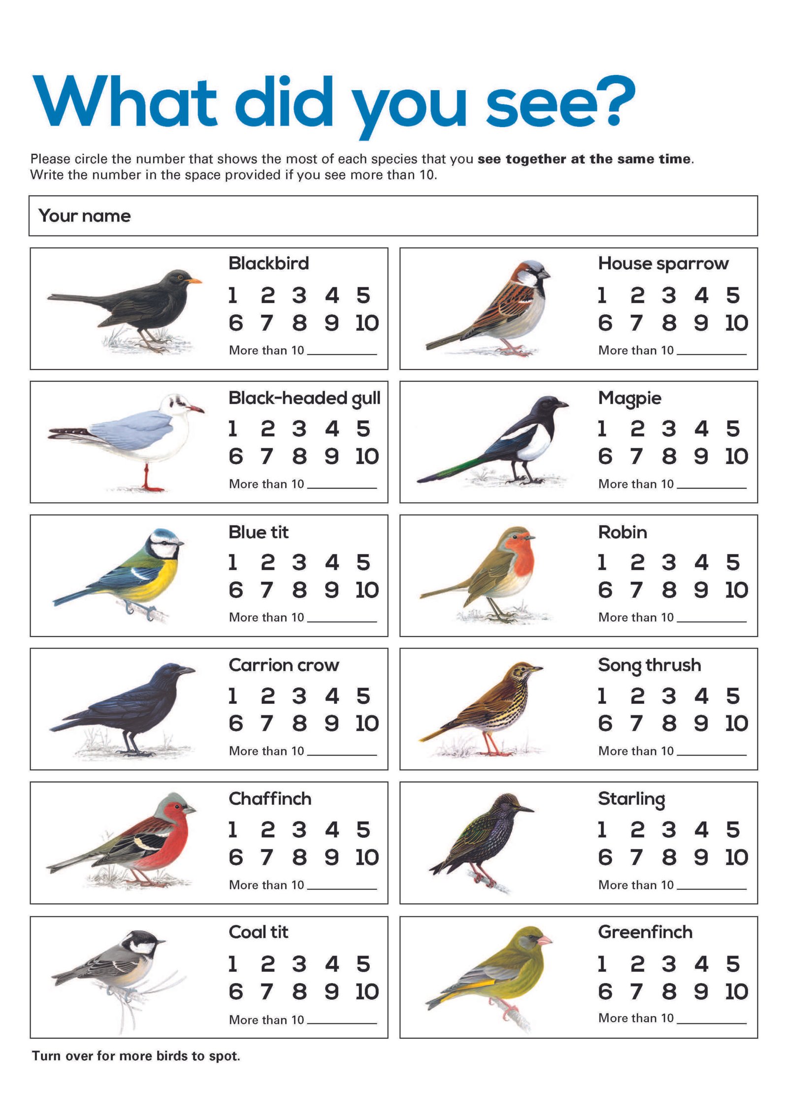 Bird counting sheet. Free resource for Big Schools’ Birdwatch. Perfect ... Bird counting sheet. Free resource for Big Schools’ Birdwatch. Perfect ...