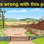 What’s wrong with this pic : Picture Brain Teasers And Answers in 2021 …