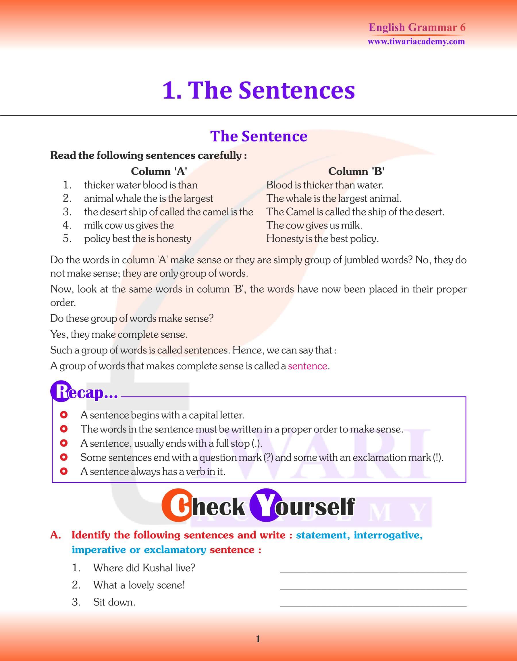 class 6 english grammar chapter 14 exercise with answers
