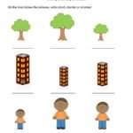 Short Shorter Shortest Worksheets Short, shorter, shortest worksheet | Live Worksheets