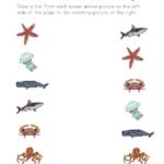 Ocean Animals Worksheets for Kids | Ocean animals pictures, Ocean …