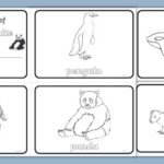 Names Of Things That Are Black And White Worksheets My Little Book of Black and White Worksheets (teacher made)