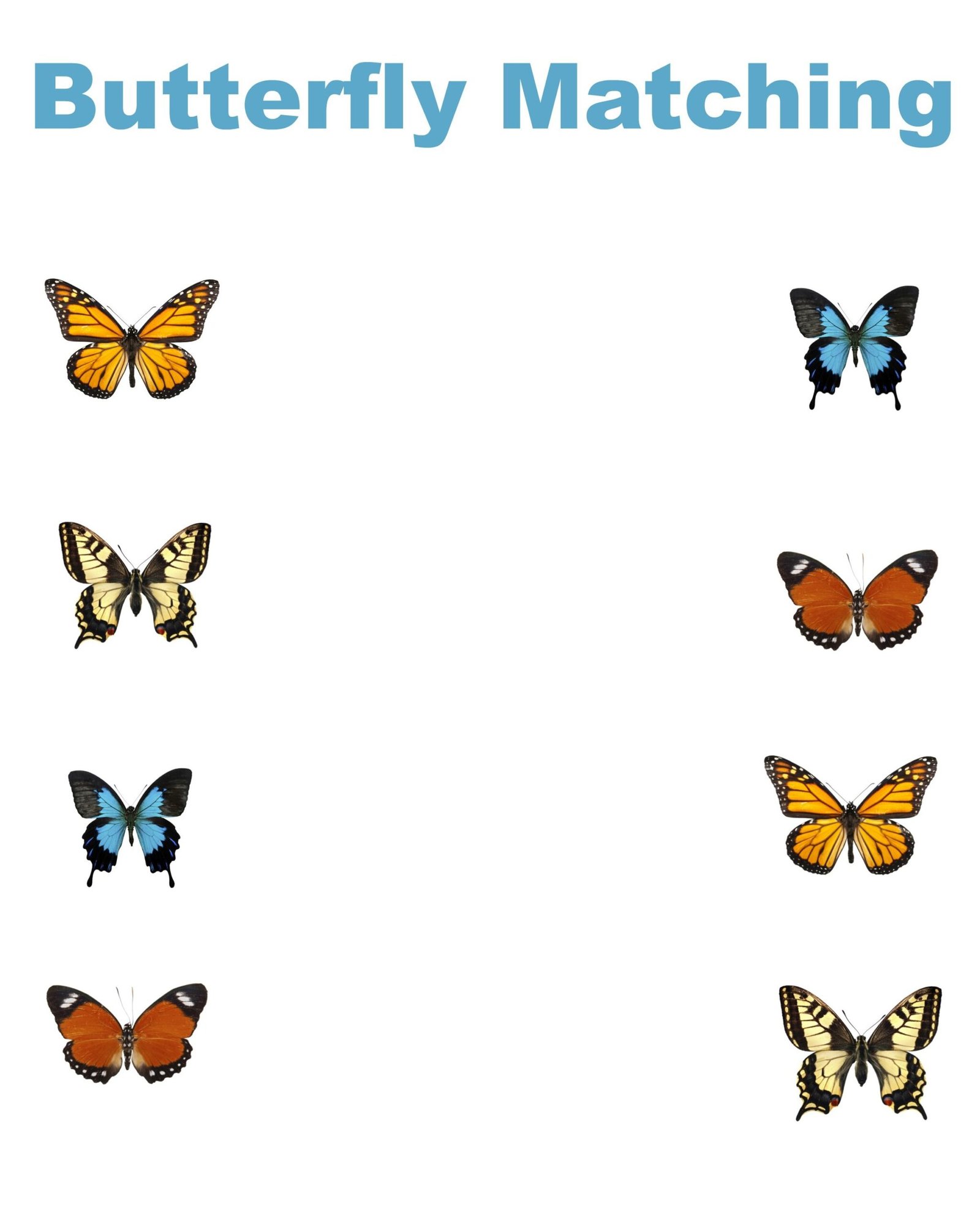 free printable butterfly matching worksheet - jenny at dapperhouse ...
