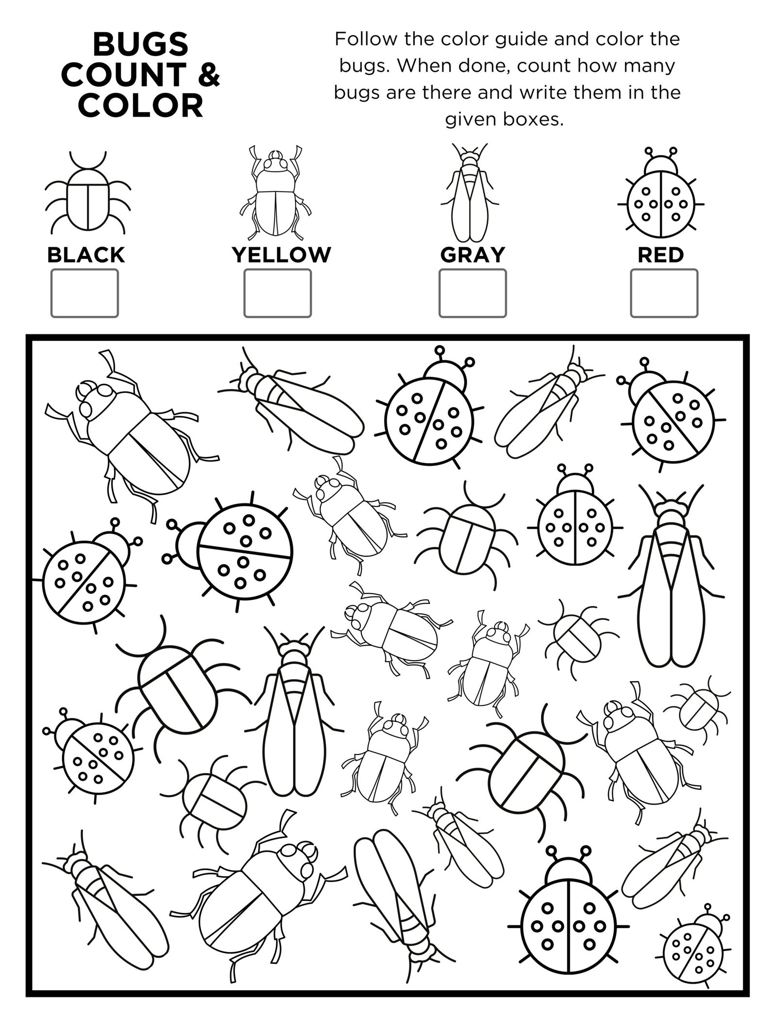 Bugs Activities Worksheets