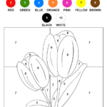 Color the Tulip by Numbers Worksheet – Turtle Diary