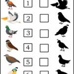 Matching Worksheets - Birds Match The Bird Shadow 2 Worksheet Template | Kto5education | Worksheet …
