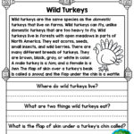 Nonfiction Reading Worksheets