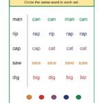 Match the Same Words Phonics Worksheet