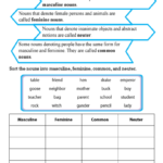 Gender of Nouns Worksheets