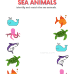 Ocean Animals Worksheets - Same Sea Animals Worksheets for Kindergarten – Kidpid