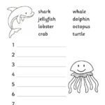 Ocean Animals Worksheets - Alphabetical Order Sea Creature Alphabetical Order 1