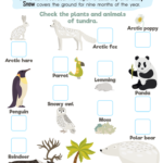 Tundra Habitats Worksheet: Free Printable for Kids