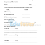 Class 4 EVS Worksheets Apr 1