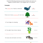 Singular And Plural Nouns Worksheets Identify Singular and Plural Nouns Printable Worksheets for Grade 1 …