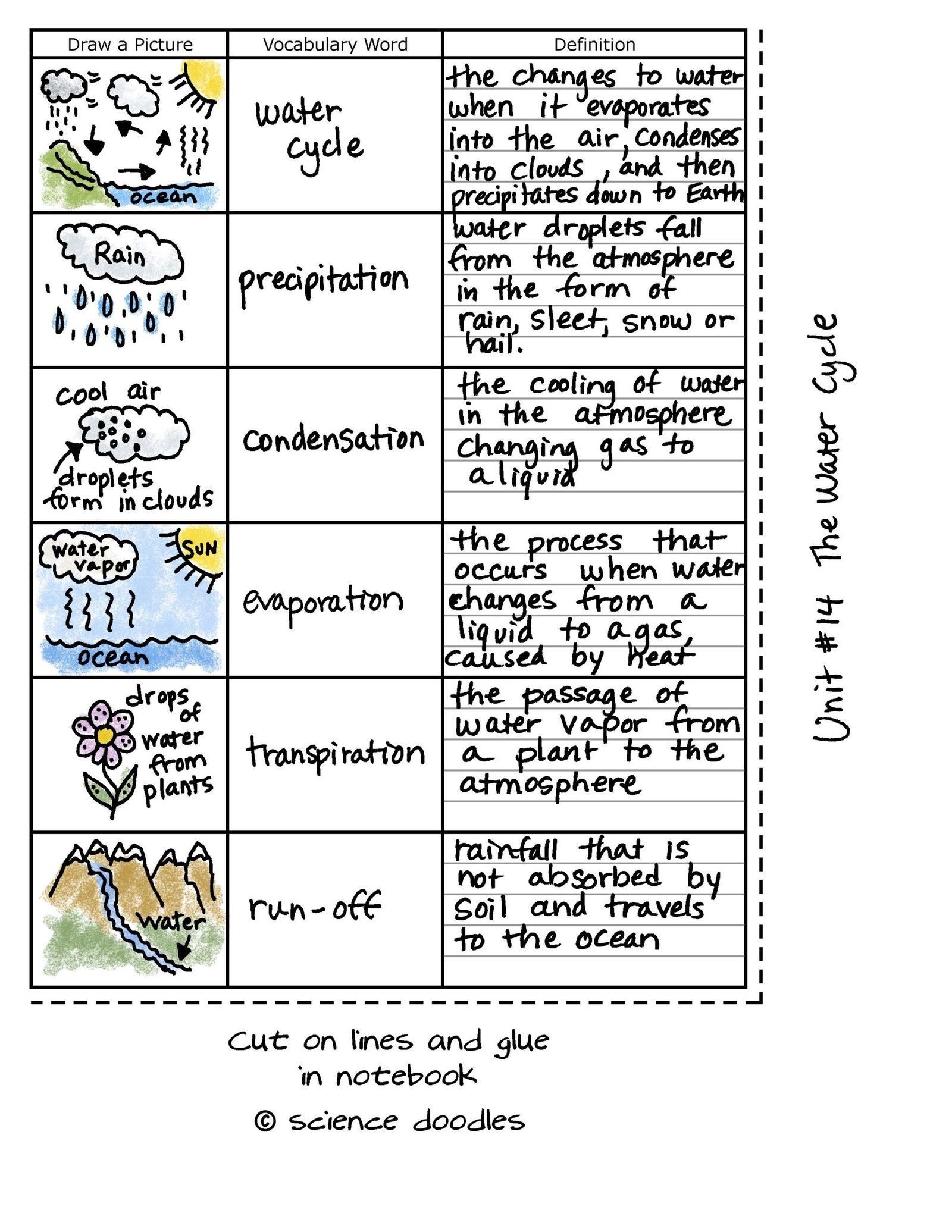 Pin on Water Cycle