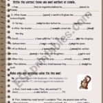 Past Perfect-Past Simple – ESL worksheet by sirah