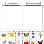 Living and Non Living Things – Free Worksheets | ShingBrains.com