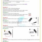 Class 6 Science Chapter 1 Worksheets Ncert Class 6 Science Chapter 1 Worksheets – Kidsworksheetfun