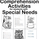 Reading Comprehension Autism Worksheets