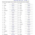 Singular And Plural Nouns Worksheets With Answer Key – Askworksheet