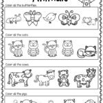 Kindergarten Morning Work Free Worksheets