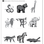 Wild Animals – Free Worksheet – SKOOLGO