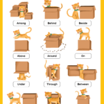 Prepositions of place – Free Worksheet – SKOOLGO