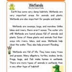 Super Teacher Worksheets Reading Comprehension
