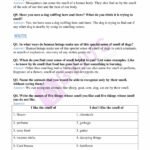 Ncert Class 5 Evs Worksheets With Answers Printable W – vrogue.co